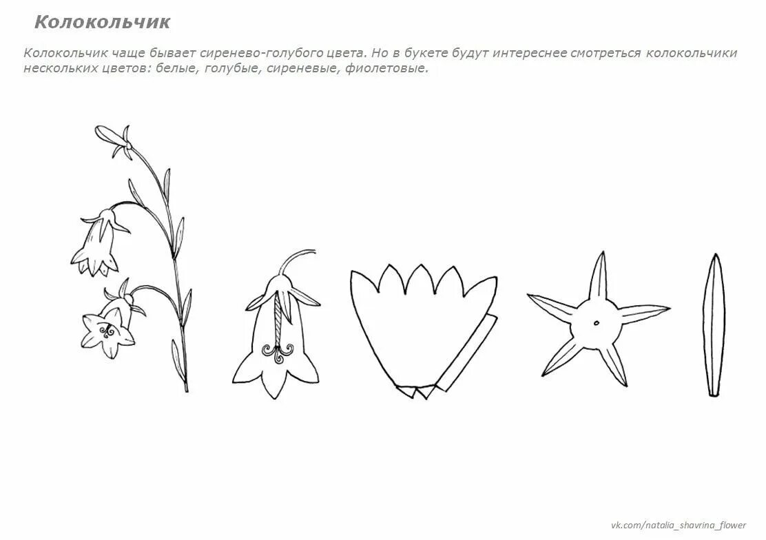 Выкройки колокольчика. Выкройки цветов. Выкройка цветка колокольчика. Колокольчик цветок шаблон. Колокольчик цветок из бумаги.