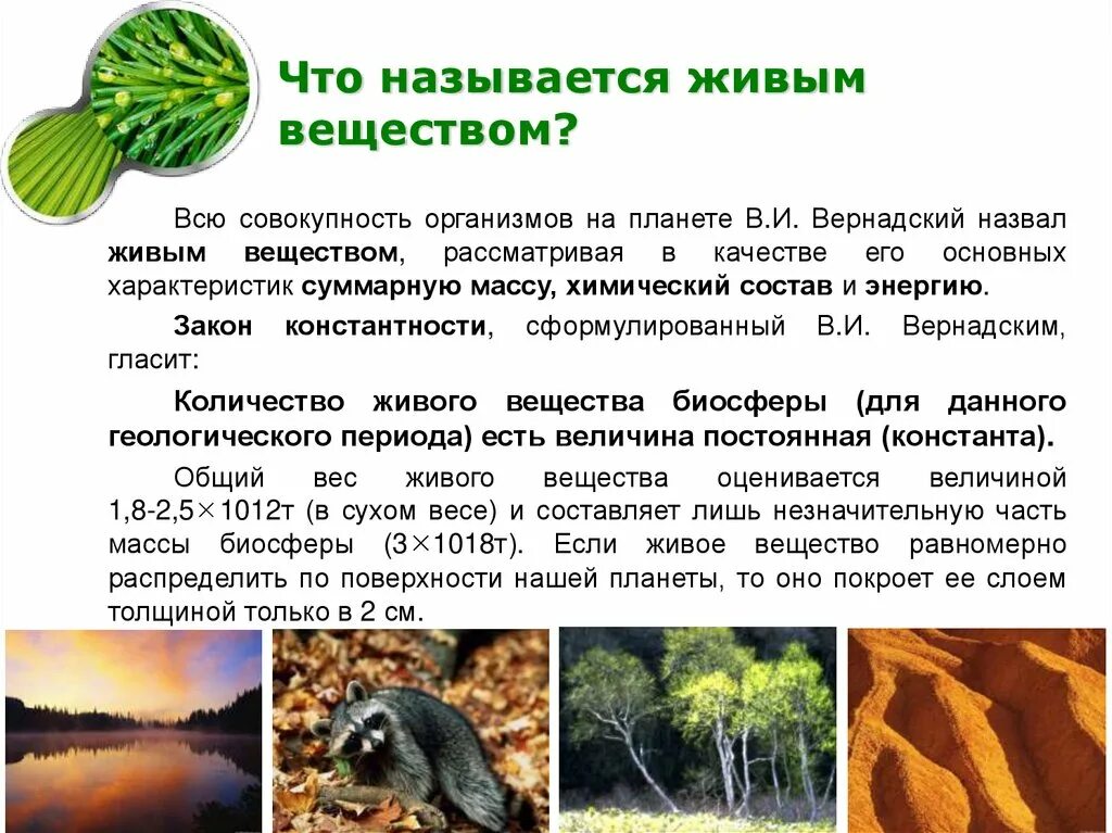 живые организмы. организмы открытые системы. границы распространения живых организмов в биосфере. живые организмы (живое вещество). живым веществом называют живые организмы.