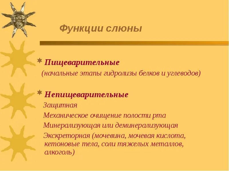 Функции слюны в пищеварении. Пищеварительные и непищеварительные функции слюны. Непищеварительные функции слюнных желез. Роль слюны в пищеварении человека.