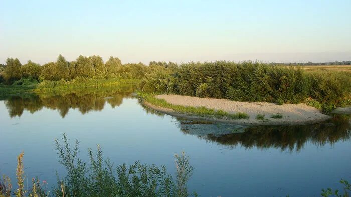 Батурин город река Сейм. Город Сейма в 2009 году. Пригород Курска колоньча. Фото карман реки Сейм Камарова.