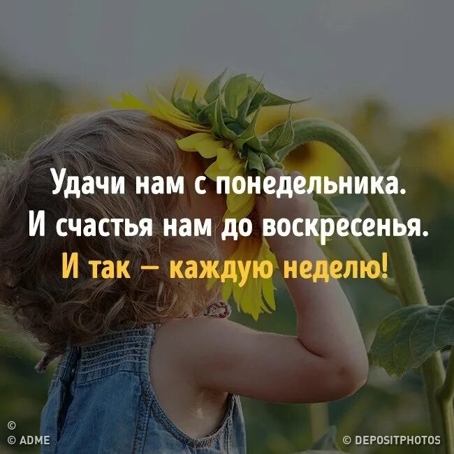 Фразы про удачу. Афоризмы про удачу и везение. Цитаты про удачу. Цитаты про удачу и везение. Высказывания про удачу.