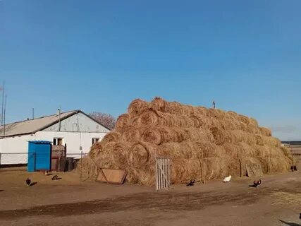 Павлодар тамбовской