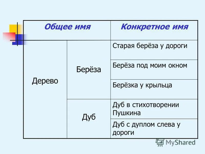 грамматические признаки прилагательных. грамматические характеристики имени существительного. основные характеристики имен. прилагательное основные признаки. основные характеристики имен.