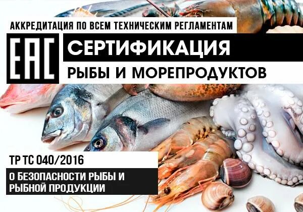 040 2016 о безопасности рыбы. Сертификация рыбной продукции. Безопасность рыбы и рыбной продукции. Сертификат на рыбу и рыбные продукты. Оценка соответствия рыбы и рыбных продуктов.