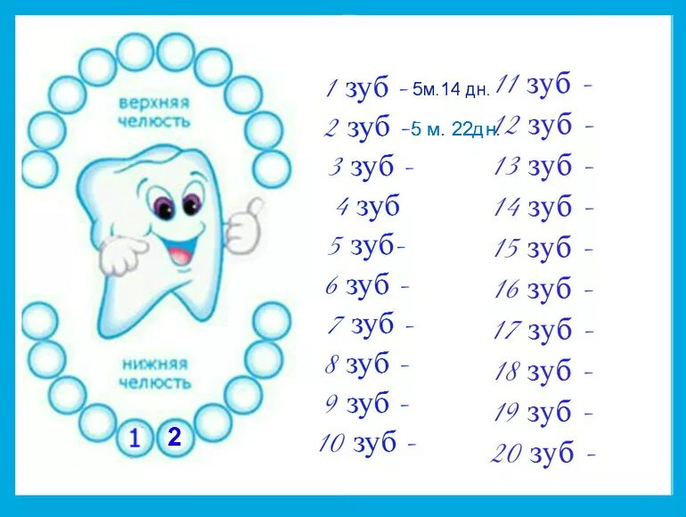 Зубы схема прорезывания молочных. Схема вылезания зубов у детей. Схема прорезывания молочных зубов у детей до 2. Схема прорезывания зубиков у детей. Сколько длится прорезывание зубов у ребенка