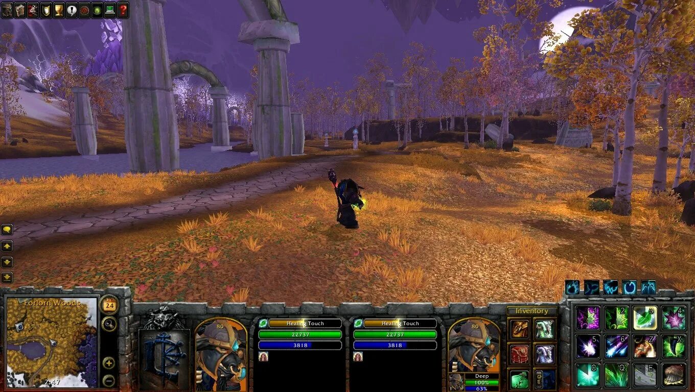 World of Warcraft 3.3.5. World of Warcraft Интерфейс Warcraft 3. Интерфейс Warcraft 3 для wow. Интерфейс варкрафт 3 3 5.