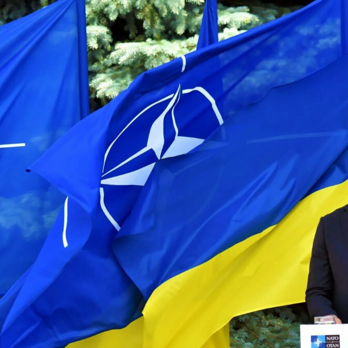 Пугаем нато. НАТО. Генсек НАТО. Порошенко и Столтенберг фото. Столтенберг прилетал в Киев.