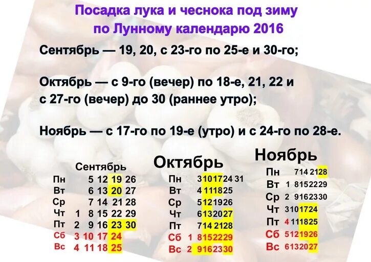 Июльский лунный календарь садовода АиФ Санкт-Петербург