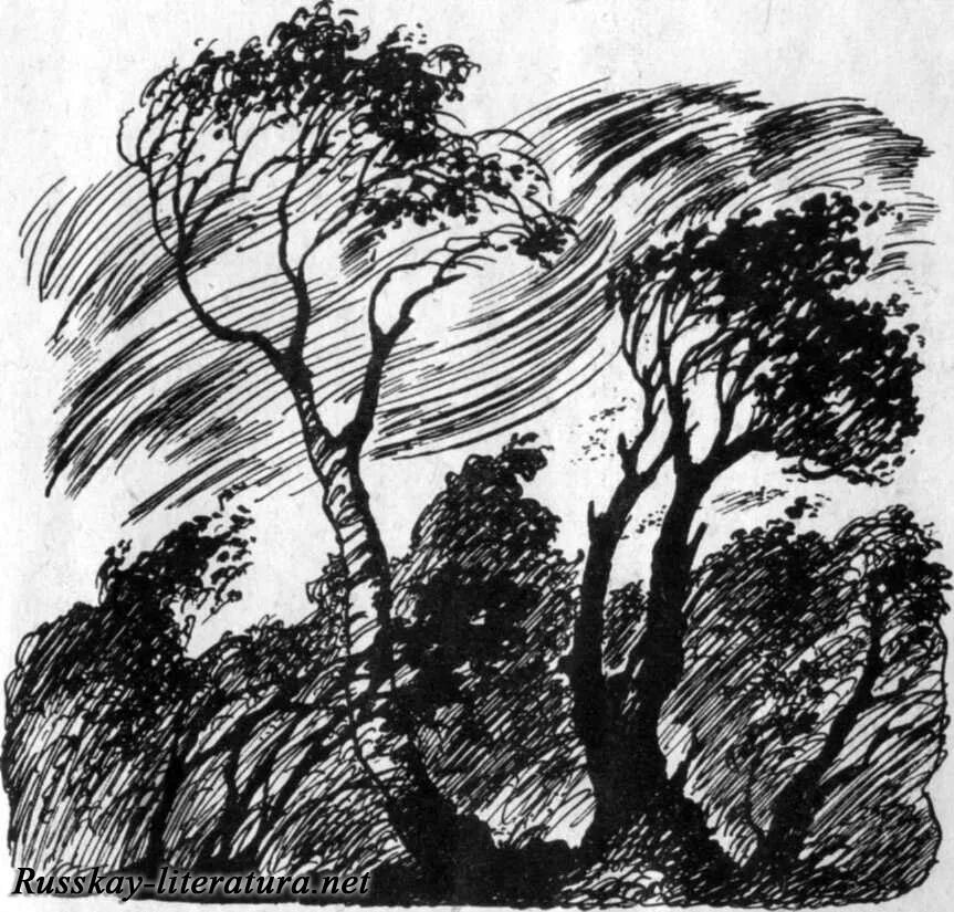 что дремучий лес призадумался грустью темною затуманился