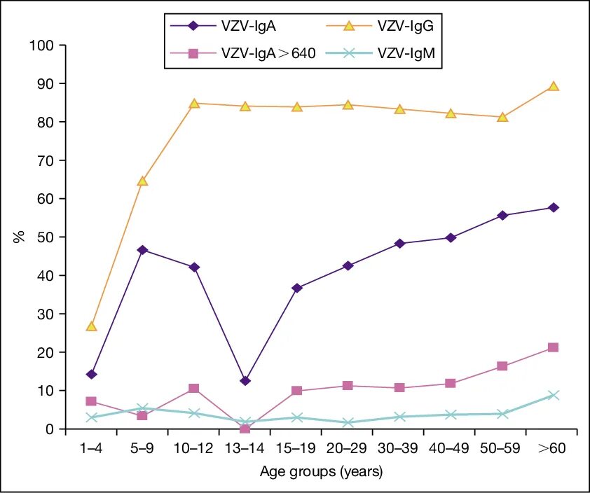 Varicella zoster virus igg. Антитела к вирусу Варицелла зостер. Варицелла IGG. Вирус Варицелла-зостер IGG.