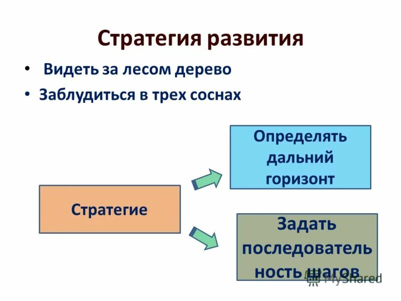 Стратегия развития качества. K или r стратег сосна.