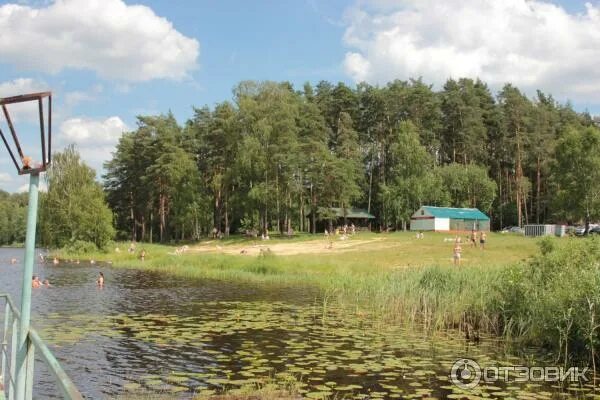 Красное озеро ивановская область чернцы. Луковое озеро пляж. Луковое озеро лагерь ногинский. Луковое озеро беседки. Фермское озеро беседка.