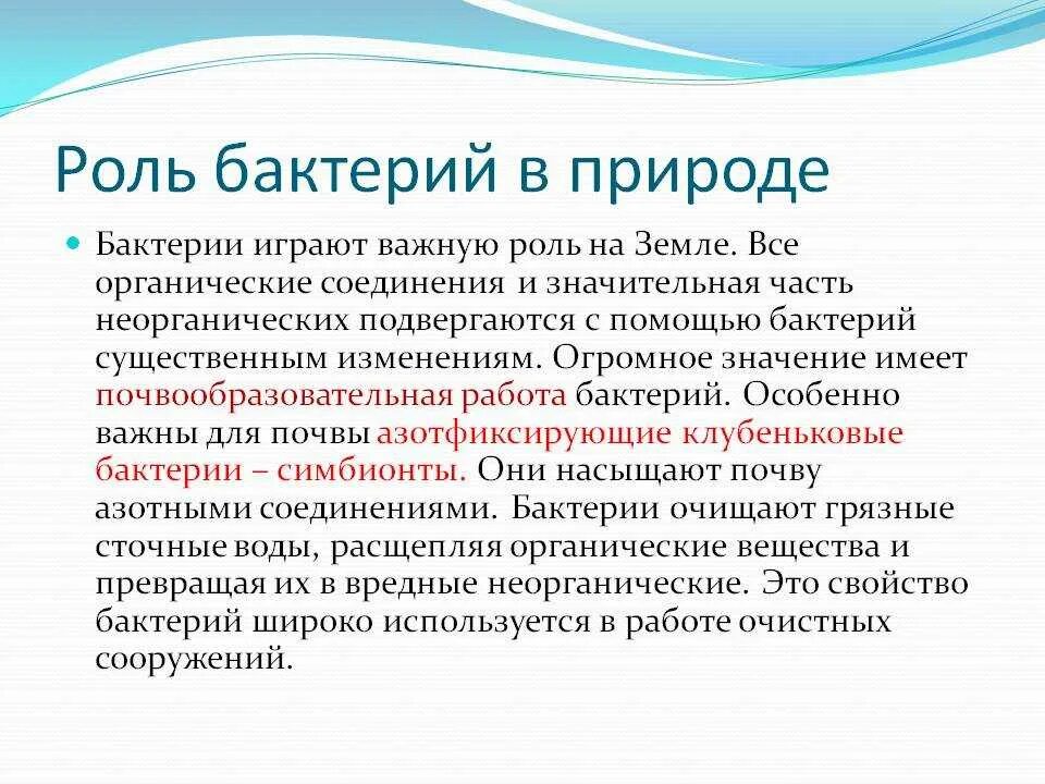 Какую роль биология играет в жизни человека. Роль бактерий в природе. Сообщение на тему роль бактерий в природе. Функции бактерий в природе. Роль бактерий в природе и жизни человека сообщение.