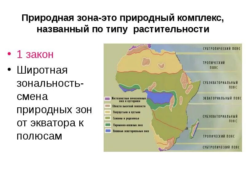 Изменение широтной зональности. Природные зоны. широтная зональность. проявление широтной зональности. смена природных зон от экватора.