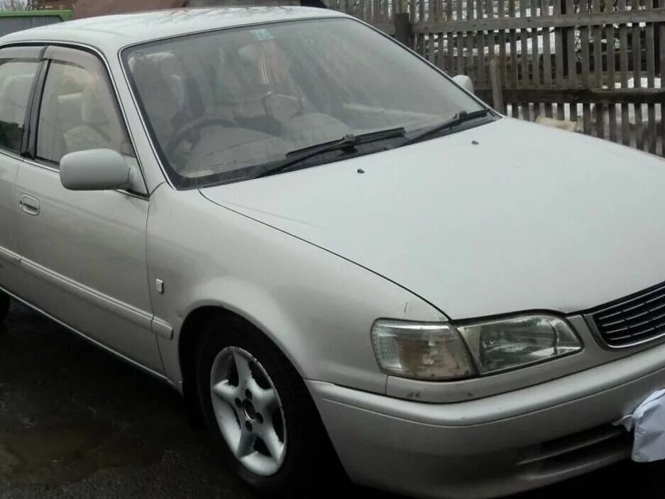 Тойота королла 1999. Toyota седан 1998. Corolla 110 1998. Тойота королла 110 1998г. Тойота королла 110 1998г.