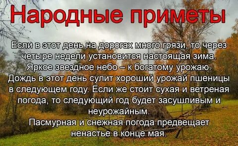 Народные приметы на 26 октября