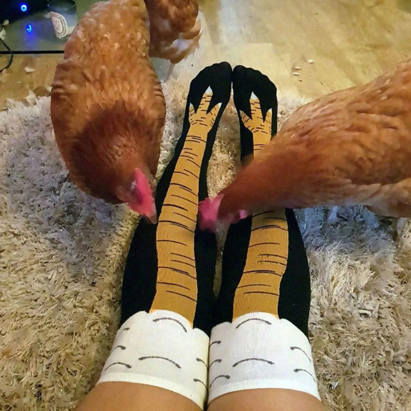 Курица с 4 ногами. Курица с 4 ногами