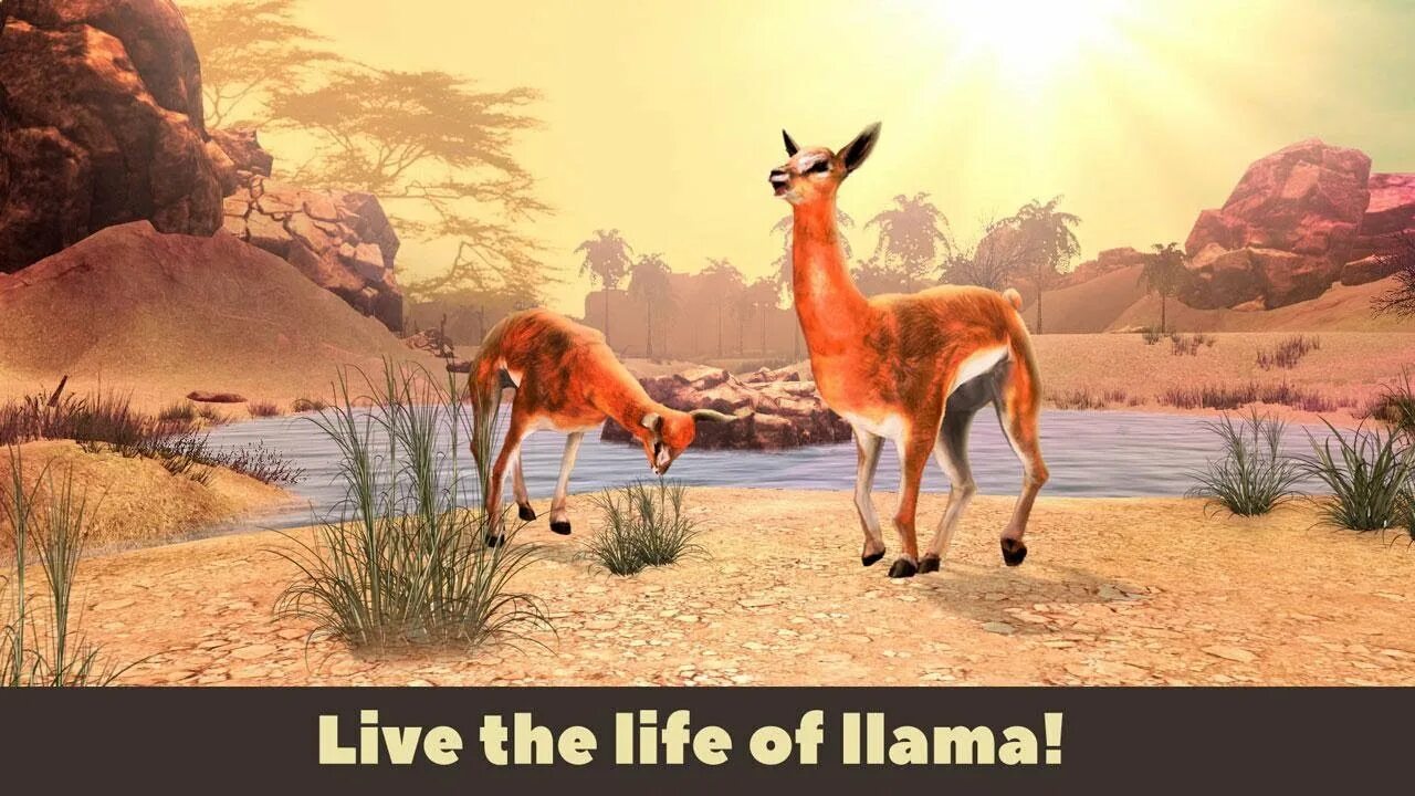 Wild Life на андроид. Wild Life игра. Wild Life АПК. Симулятор дикой лошади.