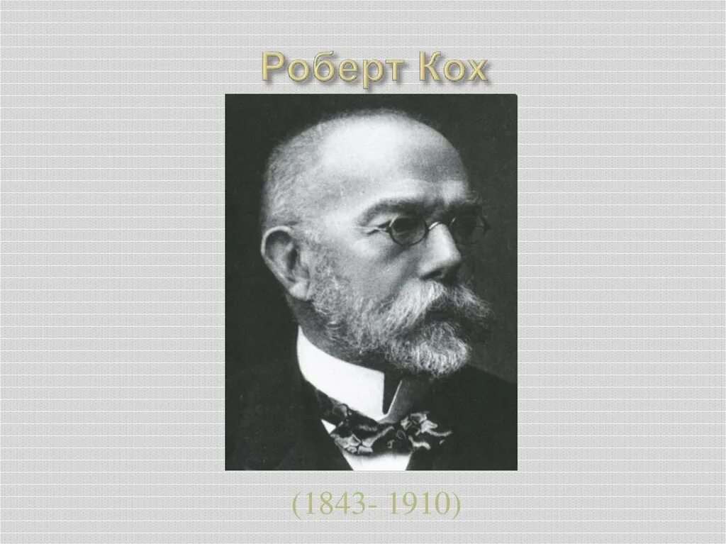 Ответ коха. Ответ коха