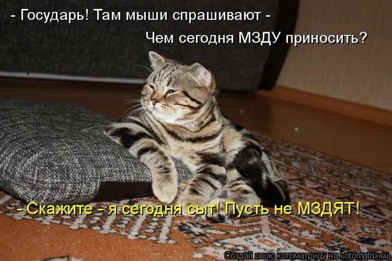 Здесь твоего ничего нет