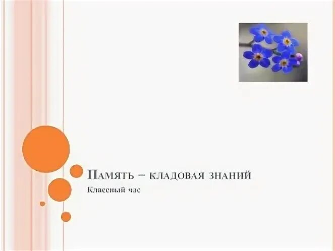 Кладовая памяти
