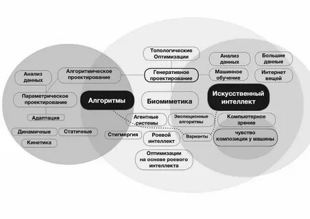 Компоненты цифровой информации