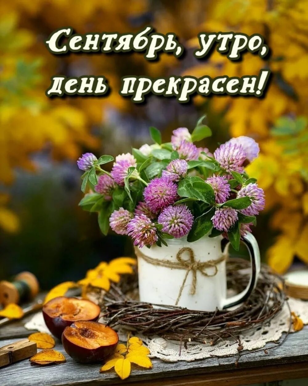 8 сентября утро. Доброе сентябрьское утро. Сентябрьские цветы. Доброго утра и замечательного дня осень. С добрым сентябрьским утром.