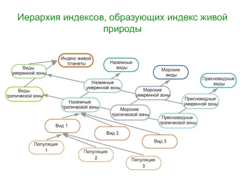 Иерархия природы