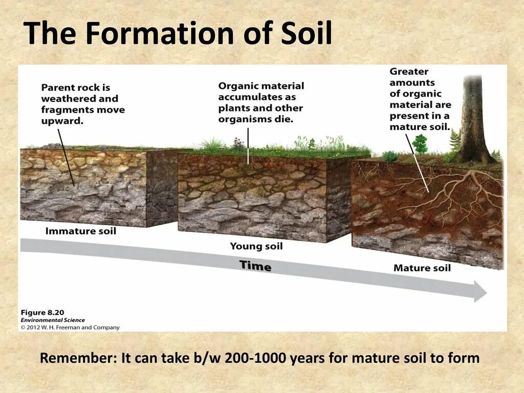 Soil formation. Time in Soil formation. Minerals in Soils. Soil study. Weathering ways