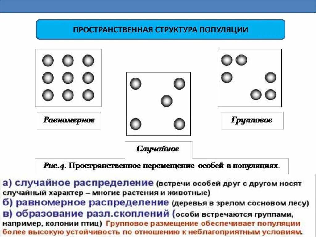 Пространственная структура популяций животных. Равномерное пространственное распределение популяции. Пространственная структура популяции схема. Типы структур популяции. Популяция характеризуется структурой