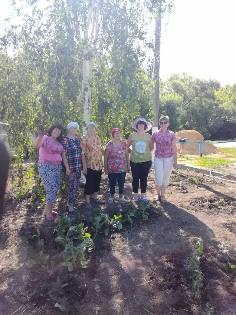 Село большая Ольшанка Калининского района. Ольшанка Аркадакский район. Село большая Ольшанка Саратовская область. КЦСОН Аркадакского района.