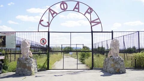 Как добраться до тайган парка