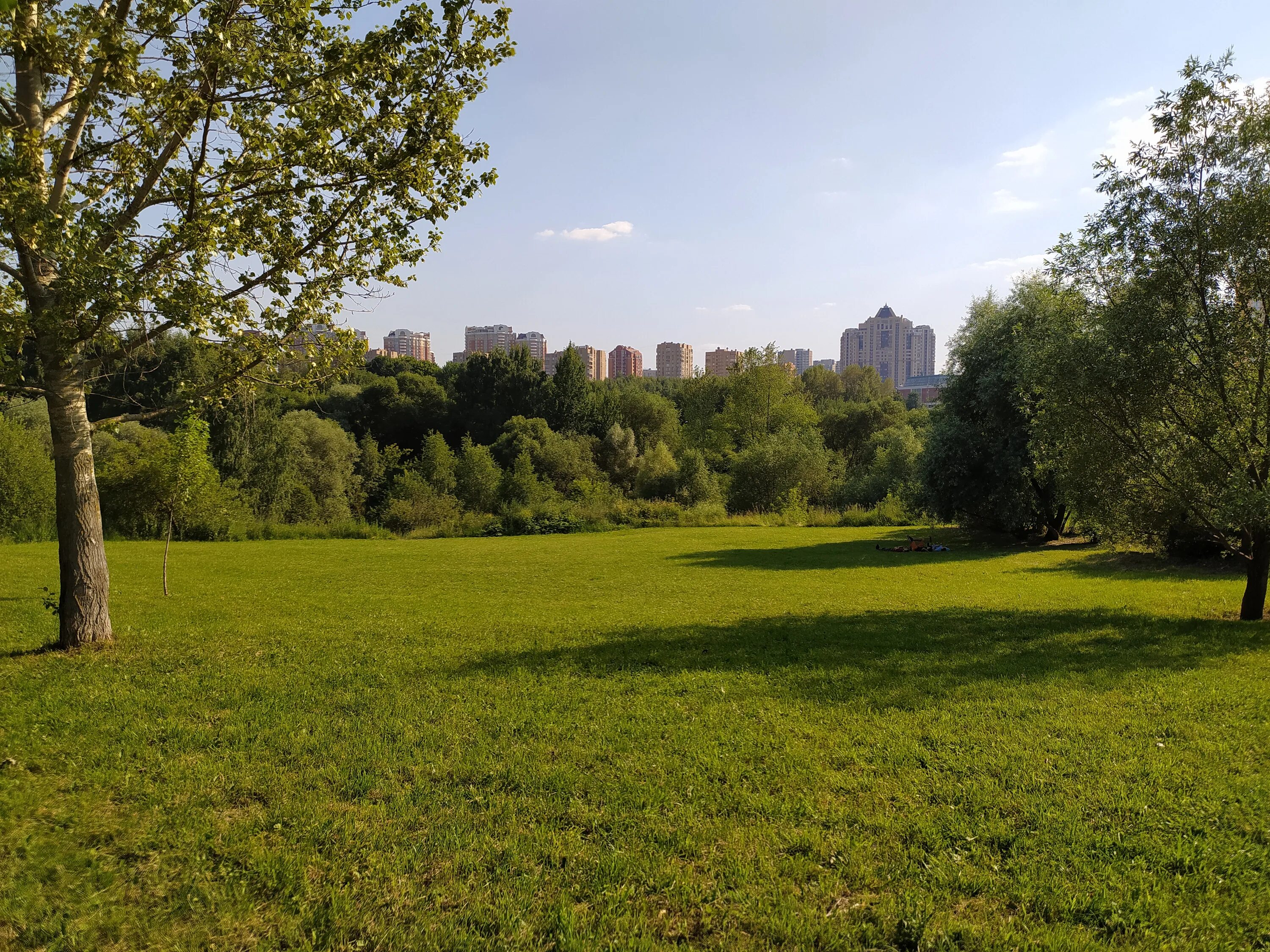 Парк 50 летия октября фото. Парк 50-летия октября Москва. Парк 50 лет октября на Вернадского. Парк 50-летия октября Москва проспект Вернадского. Парки 50 летия октября.