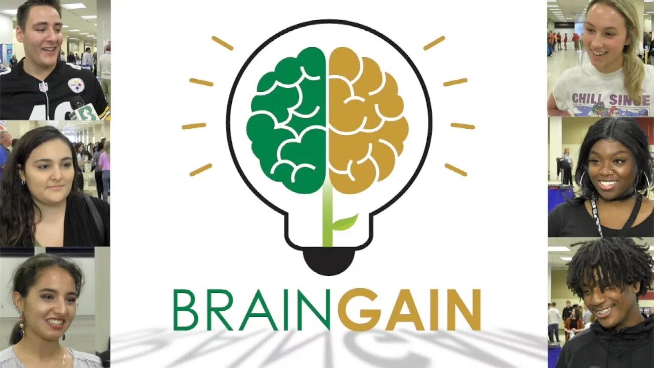 Теория Брейн Гейн. Brain gain группа. Brains talks