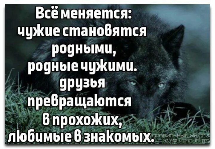 Друг не изменится