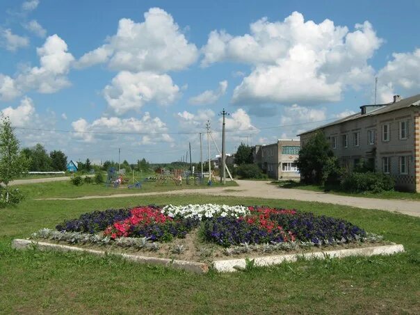 Железнодорожное сельское поселение пача шекснинский район. Пача шекснинский. Деревня пача шекснинский район вологодская область. Деревня пача. Пача шекснинский.