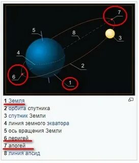 Апогей лета