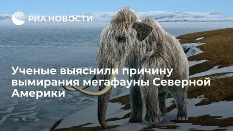 Период 6 букв