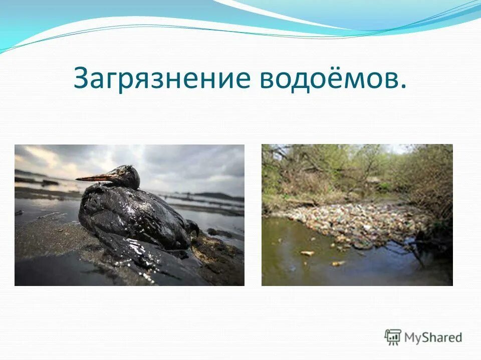 загрязнение воды презентация. загрязнение водоемов презентация. водоемы презентация. источники загрязнения водоемов. загрязнение водоемов презентация.