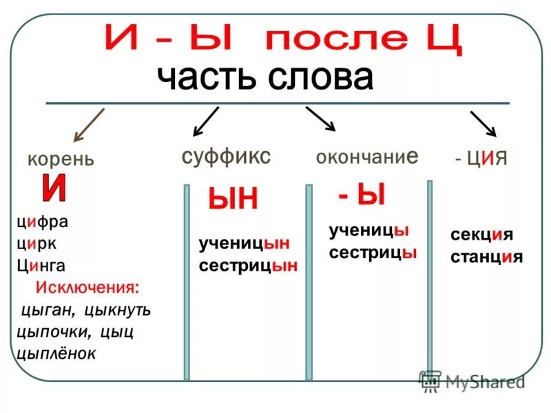 Слова на ция в конце. Слова которые пишутся с цы. Цыган на цыпочках цыпленку цыкнул цыц правило. Правило написания ци или цы. Цирк слово исключение.