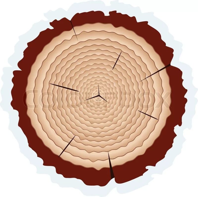 Срез бревна. Срез дерева вектор. Срез бревна вектор. Разрез дерева вектор. T me uhq logs