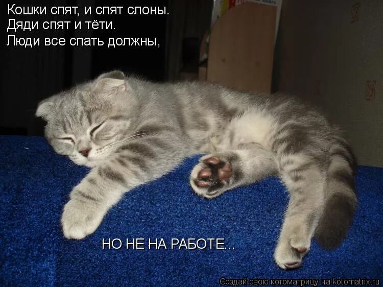 спит на работе. спит на рабочем месте. человек уснул на клавиатуре. спать должны но не на работе. спит в офисе.