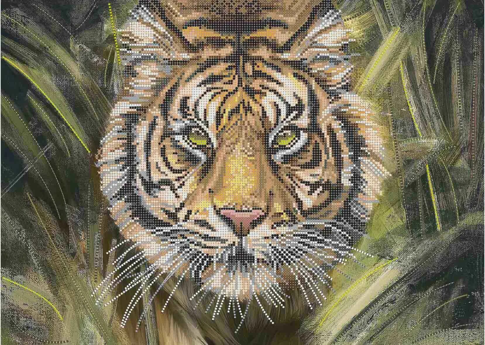 Tigers 33. Tigers 33. Белый тигр лютый. Tigers 33. Tigers 33.