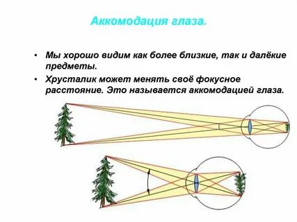 Большинство из них можно увидеть
