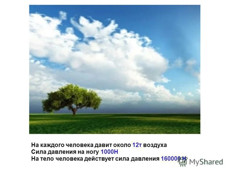 Воздух давит на человека. Т воздуха. Масса воздушного столба на человека. Какой столб воздуха давит на человека. Как человек давит на землю