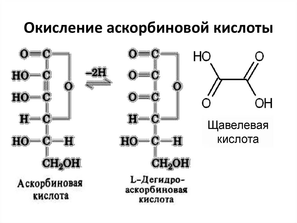 Реакция окисления аскорбиновой кислоты. Окисление аскорбиновой кислоты до щавелевой кислоты. Редокс реакции аскорбиновой кислоты. Формула окисления аскорбиновой кислоты. Кольцевая кислота