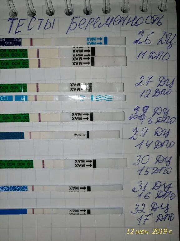 26 день цикла можно забеременеть. Тест на 26 день цикла. Тест на беременность на 26 день цикла. 33 День цикла тест отрицательный. 25 День цикла тест на беременность.