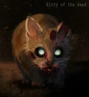 Scary catnap
