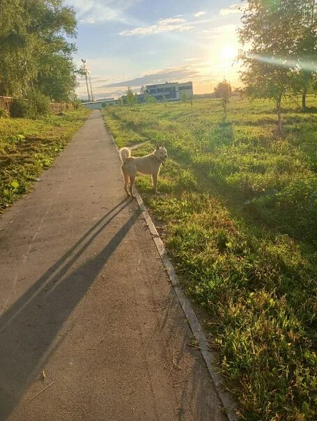 Подслушано на Глебовке Истринский район Московской области. Подслушано на Глебовке. Цыпарк Истринский район. Борисовка Истринский район.