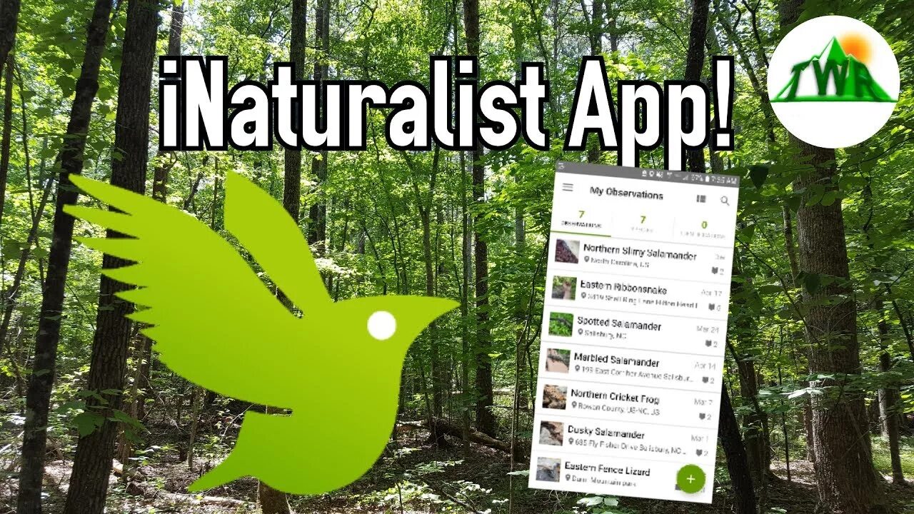 Naturalist add on. INATURALIST натуралист. Ай натуралист приложение. Приложение АЙНАТУРАЛИСТ. INATURALIST.org картинки.